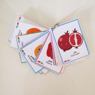 cartes éducatives tunisie